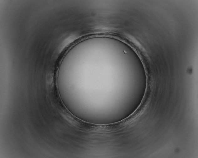 X0000102351259200808081146