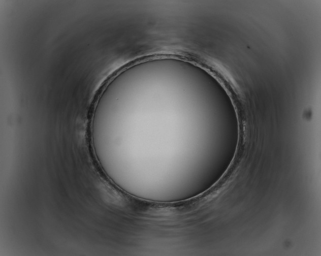 X0000102351260200808081146