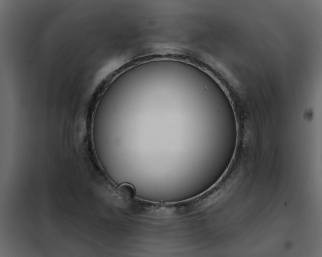 X0000102351261200808081146