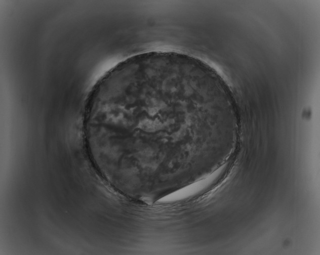 X0000102351263200808081146