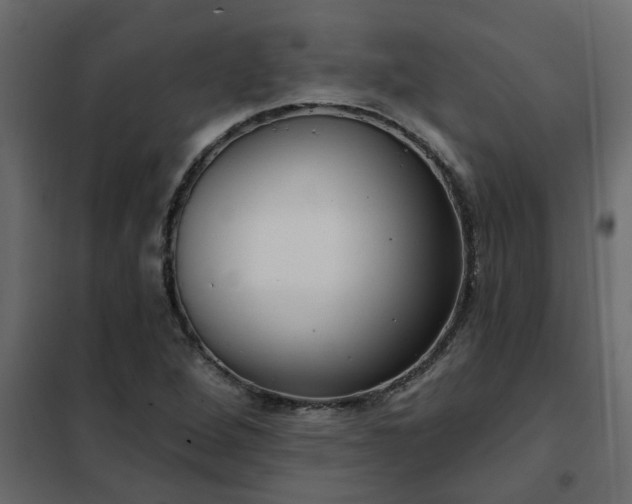 X0000102351264200808081146