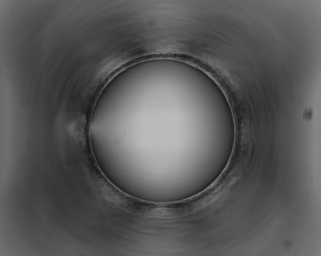 X0000102351265200808081146