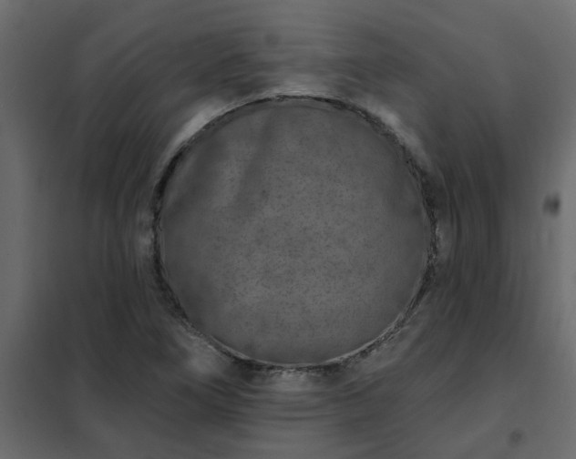 X0000102351266200808081146