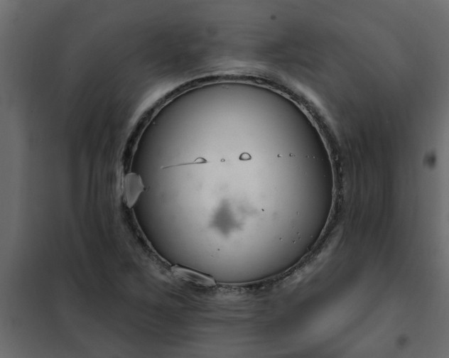 X0000102351267200808081146