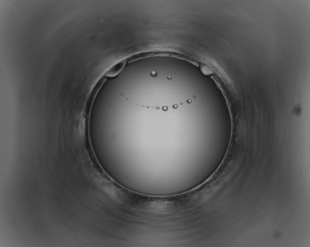 X0000102351268200808081146