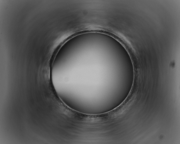 X0000102351269200808081146