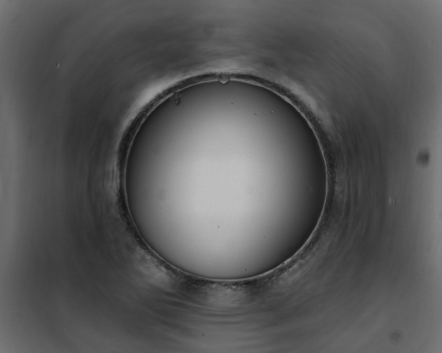 X0000102351270200808081146