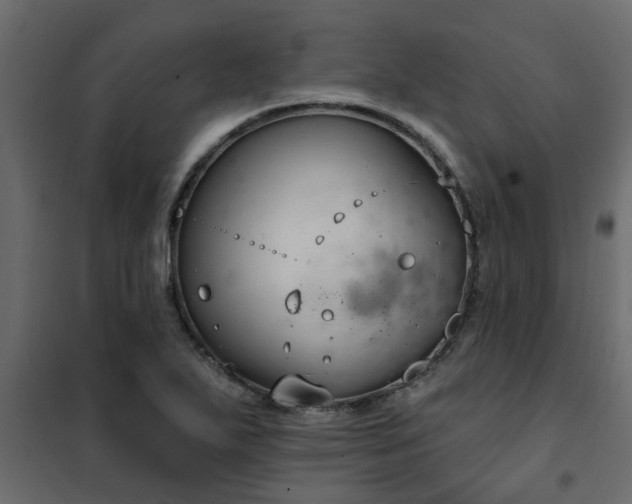 X0000102351271200808081146