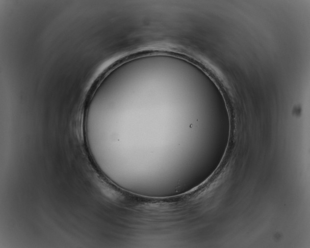 X0000102351272200808081146