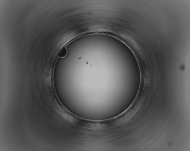 X0000102351273200808081146