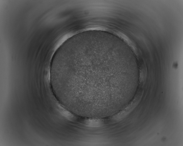 X0000102351274200808081146