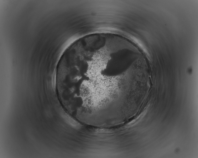 X0000102351275200808081146