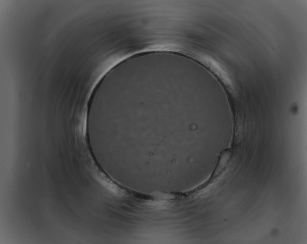 X0000102351276200808081146