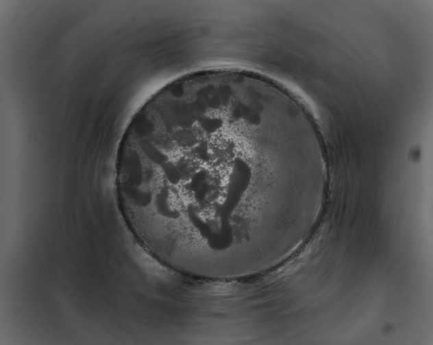 X0000102351279200808081146