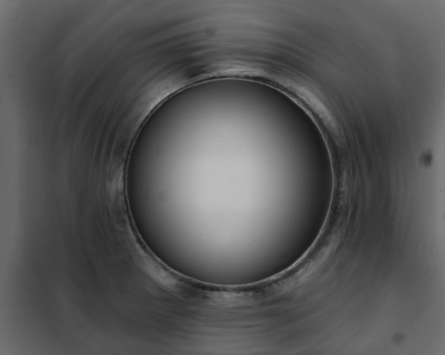 X0000102351281200808081146