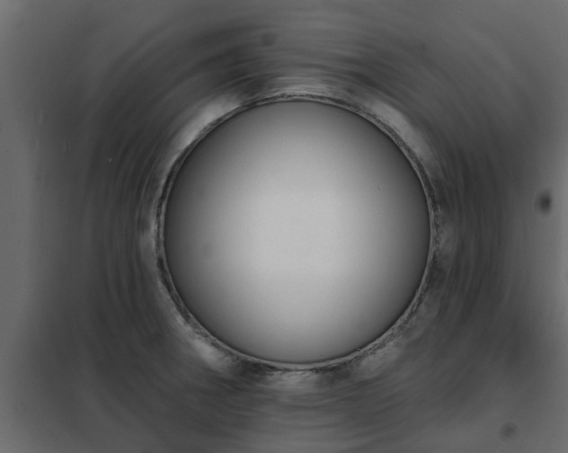 X0000102351282200808081146