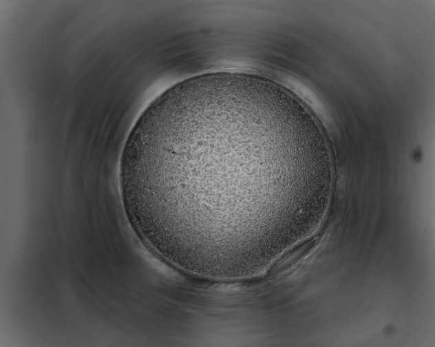 X0000102351283200808081146