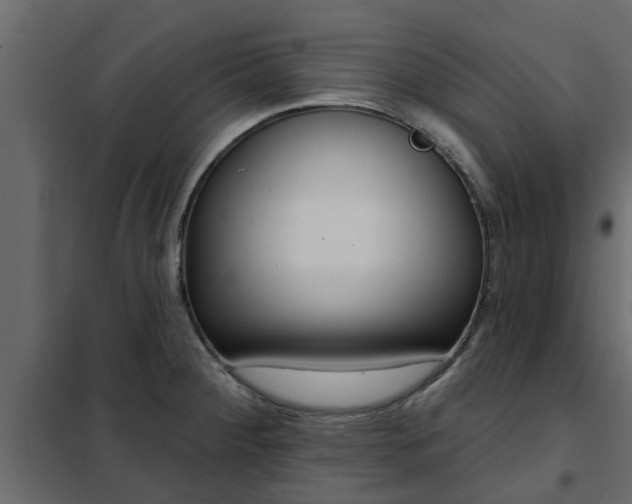 X0000102351284200808081146