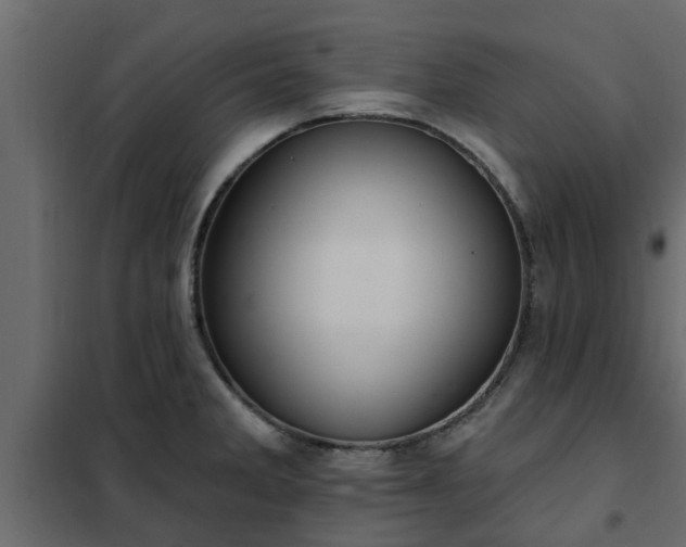 X0000102351285200808081146