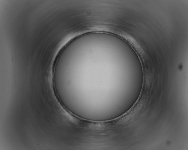 X0000102351286200808081146