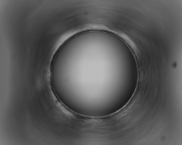 X0000102351287200808081146