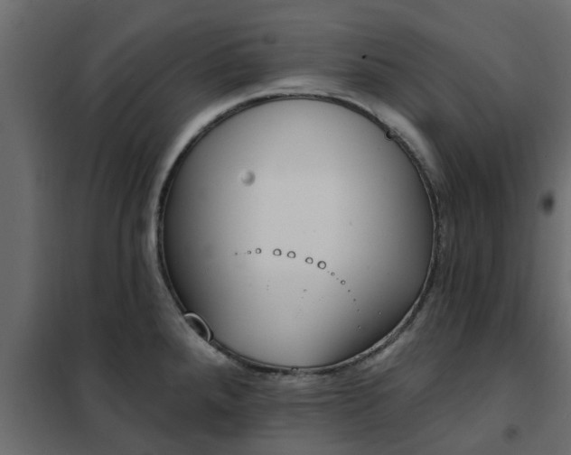 X0000102351288200808081146