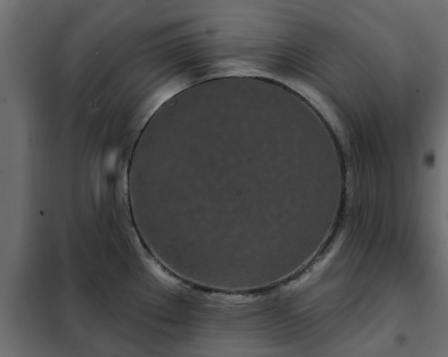 X0000102351289200808081146