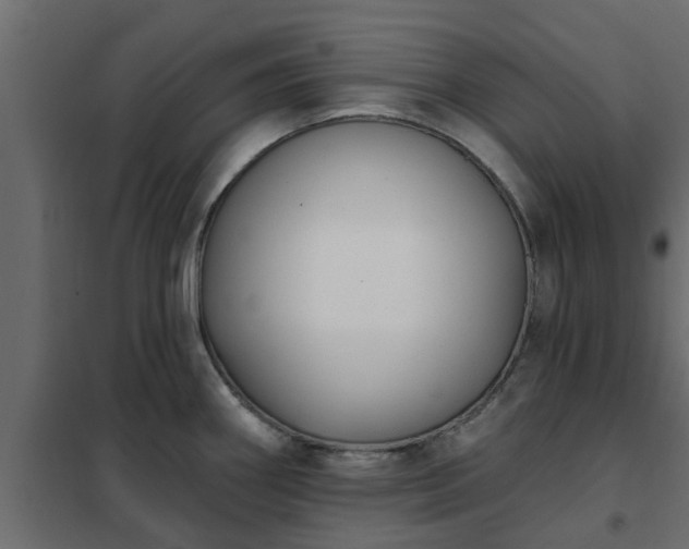 X0000102351290200808081146