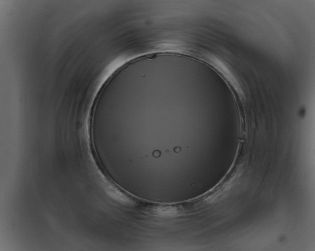 X0000102351291200808081146