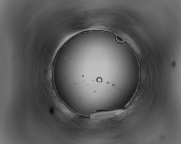 X0000102351292200808081146