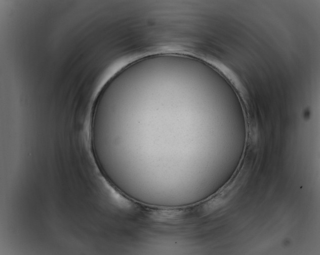 X0000102351294200808081146