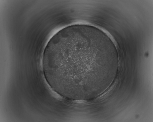 X0000102351295200808081146