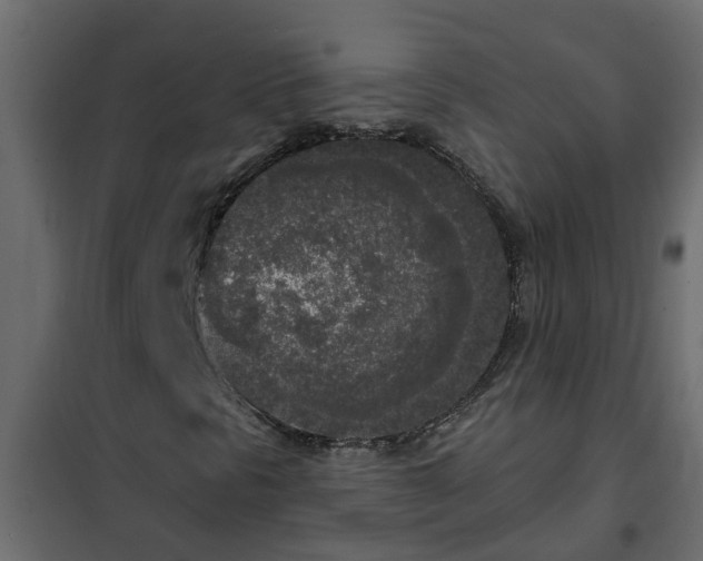 X0000102351297200808081145