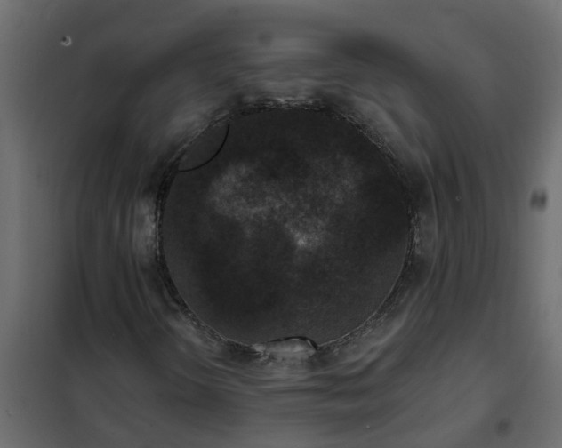 X0000102351298200808081145