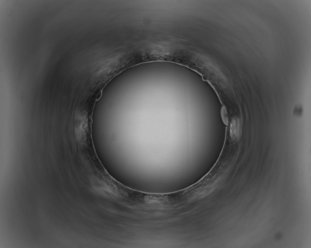 X0000102351299200808081145