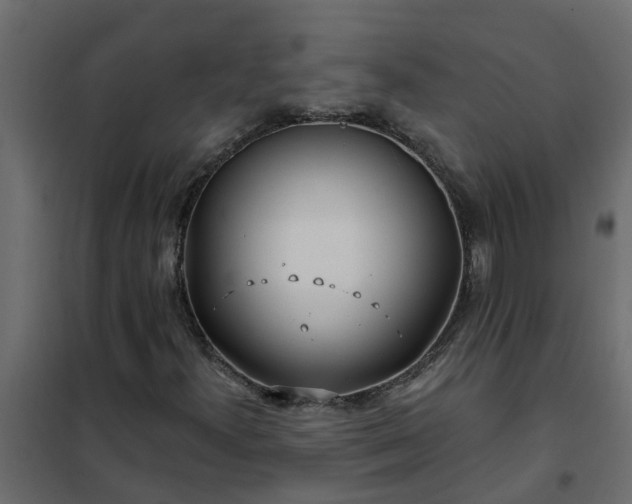 X0000102351300200808081145