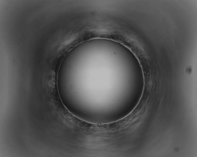 X0000102351301200808081145