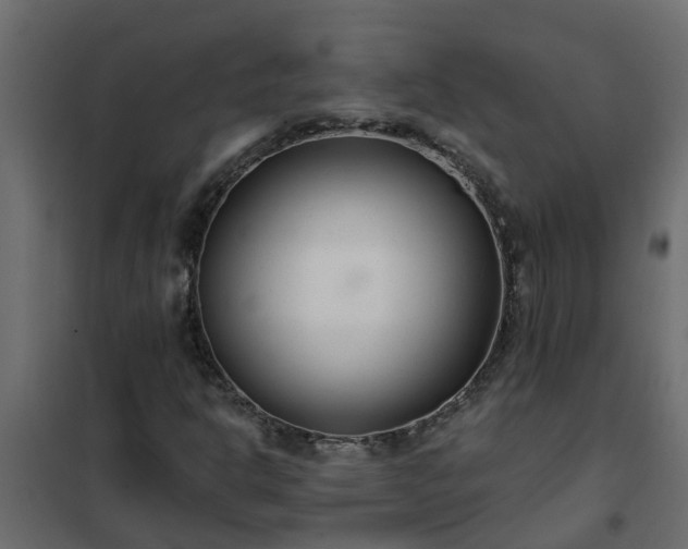 X0000102351302200808081145