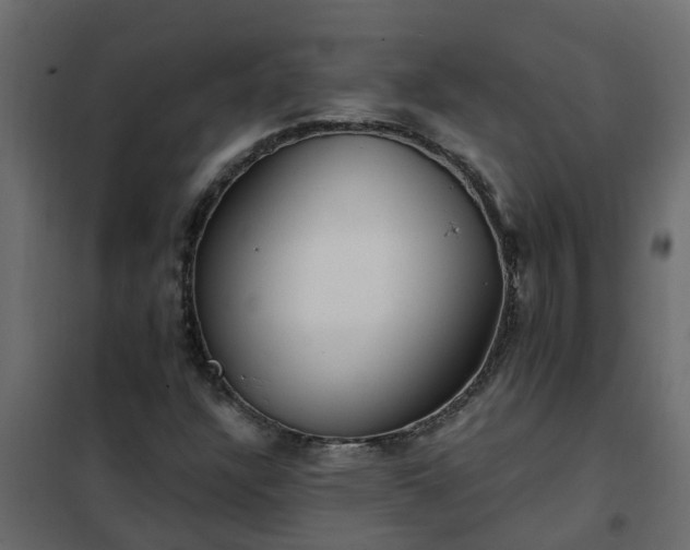 X0000102351304200808081145