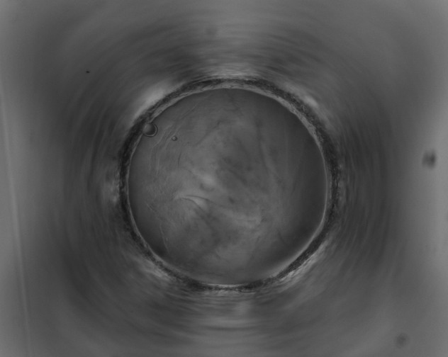 X0000102351306200808081145