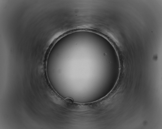 X0000102351308200808081145