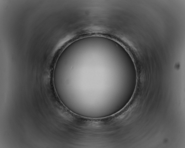 X0000102351309200808081145