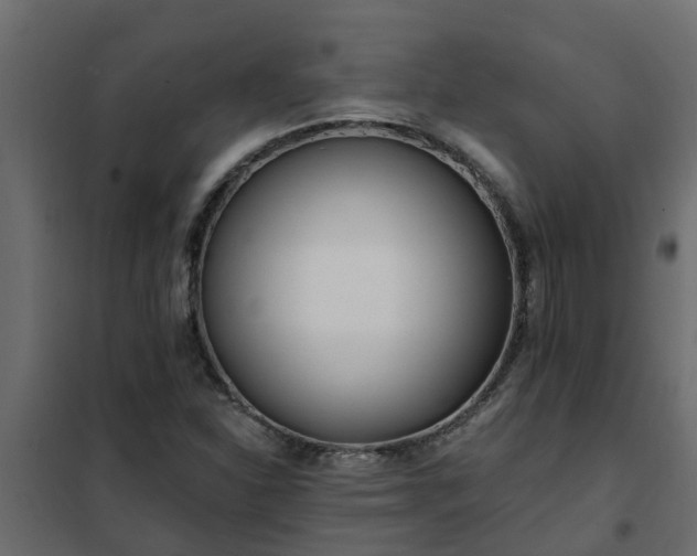 X0000102351310200808081145