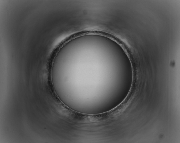 X0000102351311200808081145