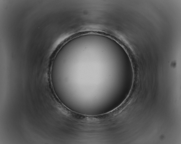 X0000102351312200808081145