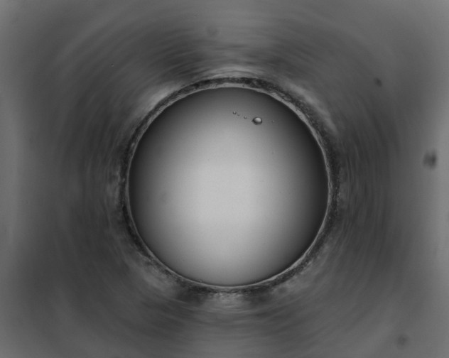 X0000102351313200808081145