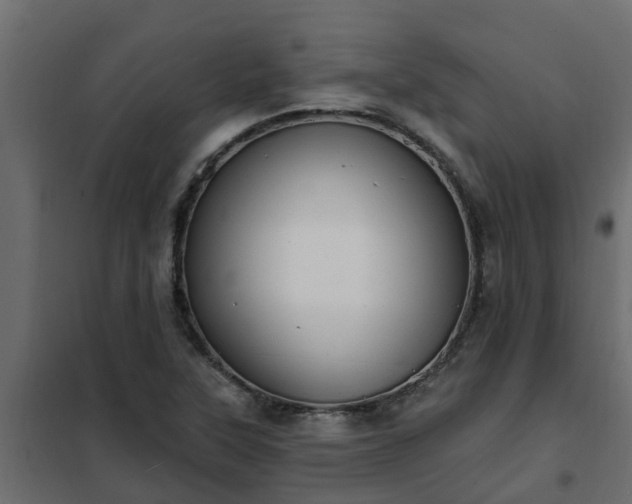 X0000102351315200808081145