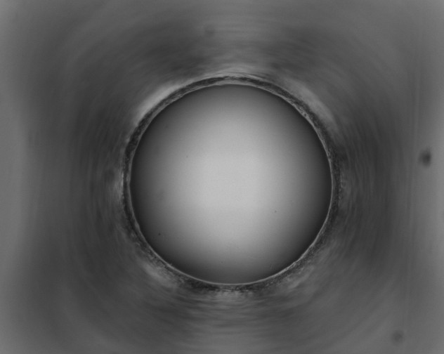 X0000102351316200808081145