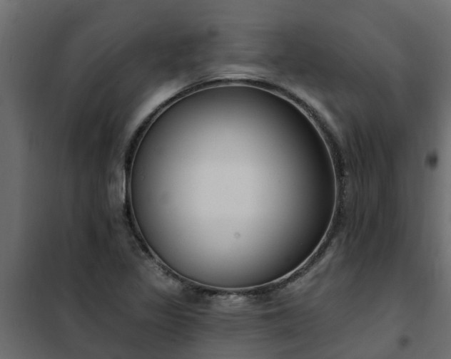 X0000102351317200808081145