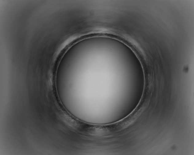 X0000102351318200808081145